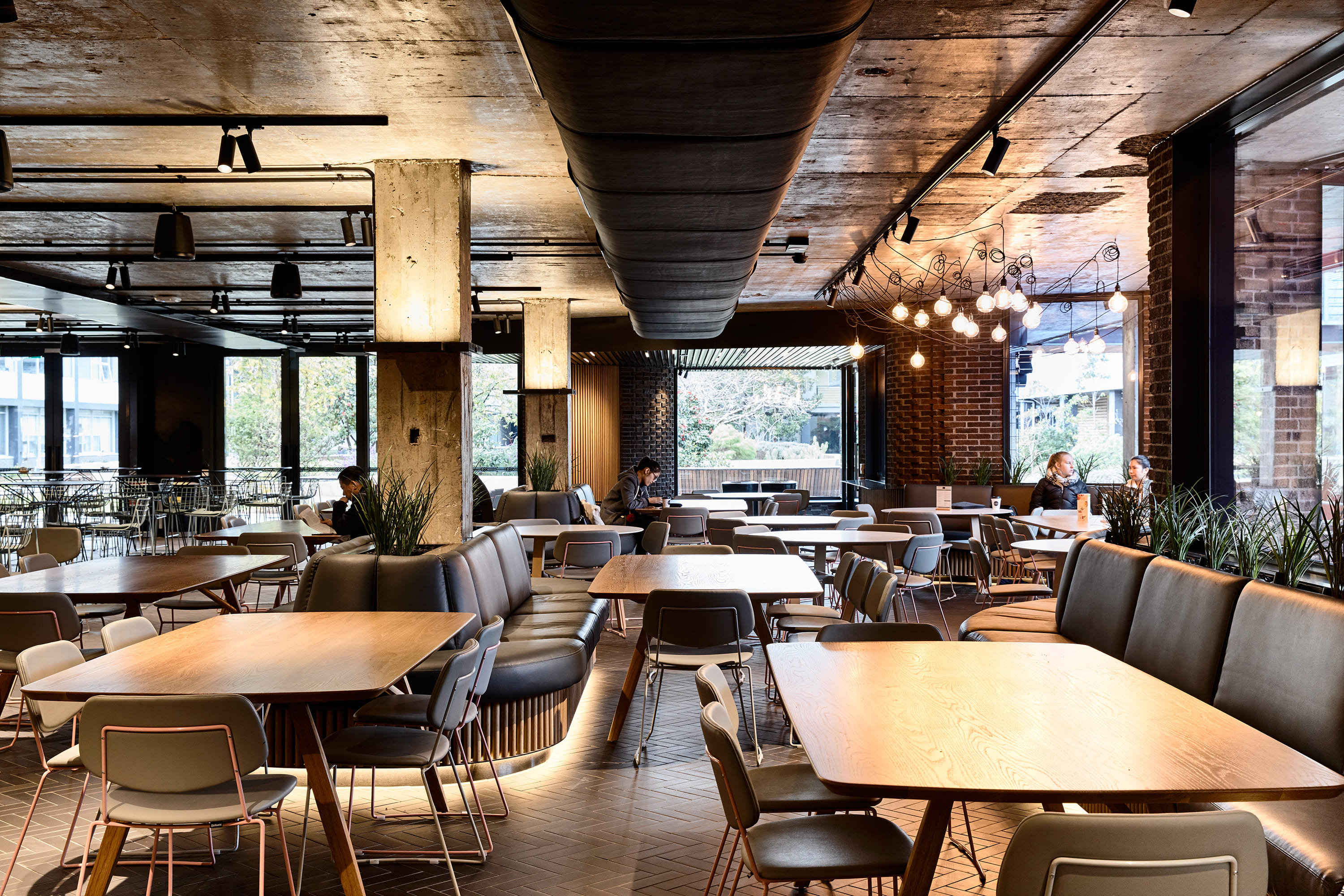 Electrolight — XO Dining, Monash University